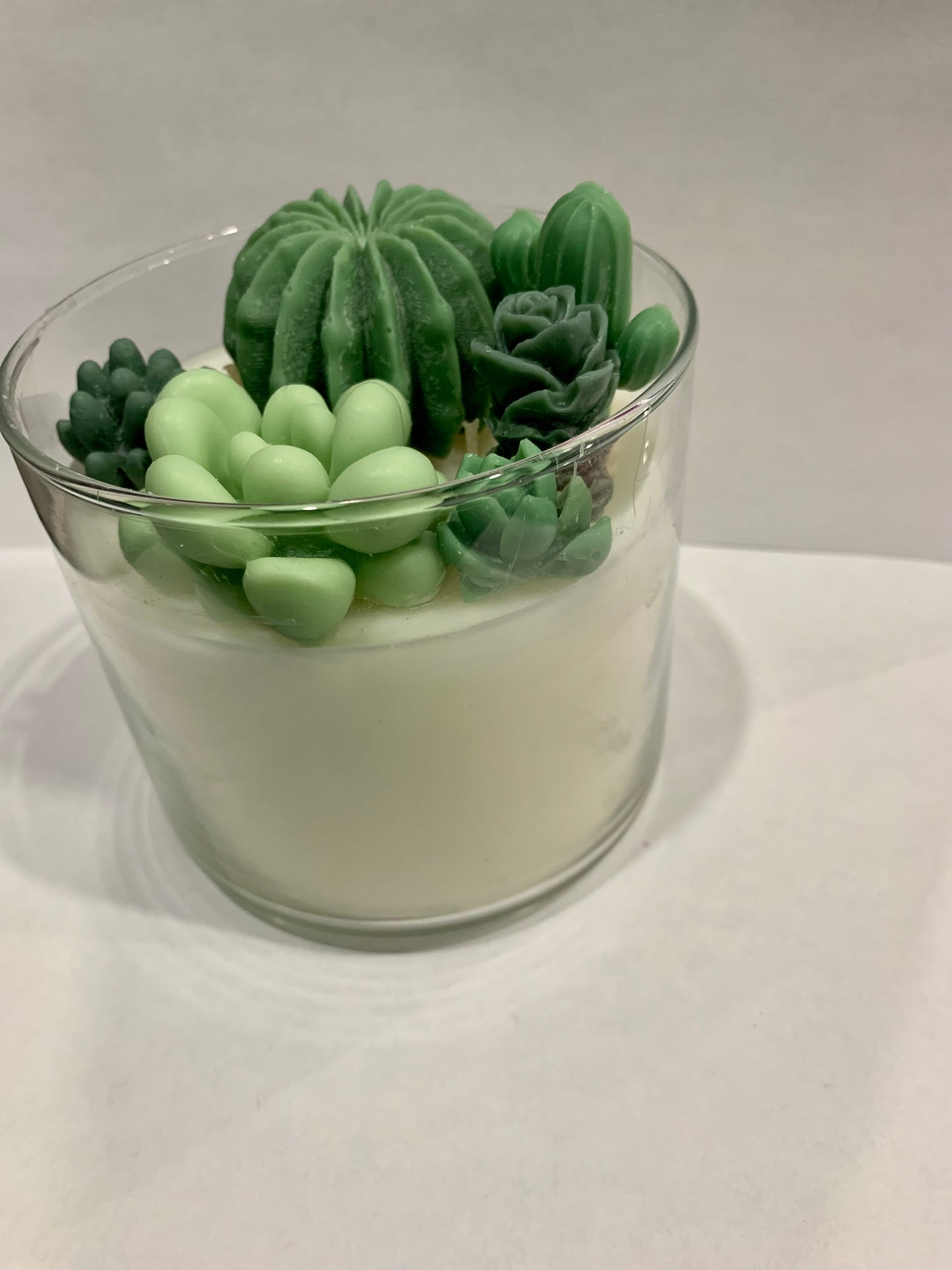 Succulent Candle