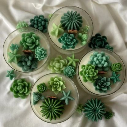 Succulent Candle