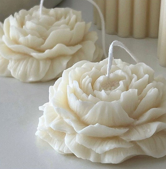 Peony Flower