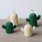 Cactus Set